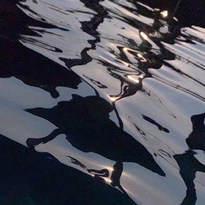 Meet your Posher, Averie